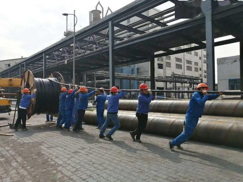 中鹽內(nèi)蒙古化工公司電石廠組織職工圓滿完成600噸 日石灰窯活性石灰項(xiàng)目電纜敷設(shè)任務(wù)