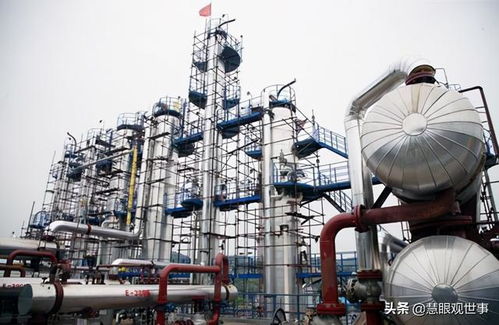 七十年代初期引進外資建立的項目之 2 化肥工業(yè) 1