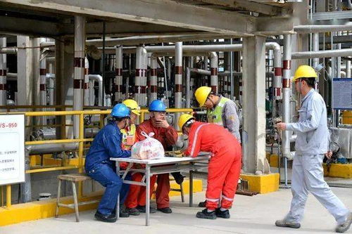 園區(qū)管理 美克化工檢修 百景圖