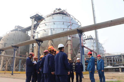 石油化工滅火救援專業(yè)隊駐廠培訓出真招見實效